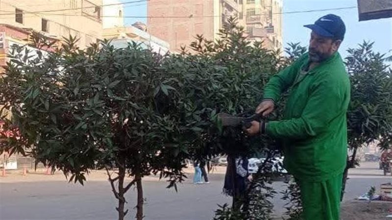 التشجير بالغربية