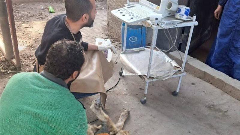 الزراعة تكثف جهود