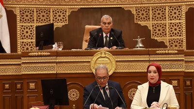 بعد الإخطار الرسمي.. تعرف على رؤساء الهيئات البرلمانية للأحزاب في مجلس الشيوخ 