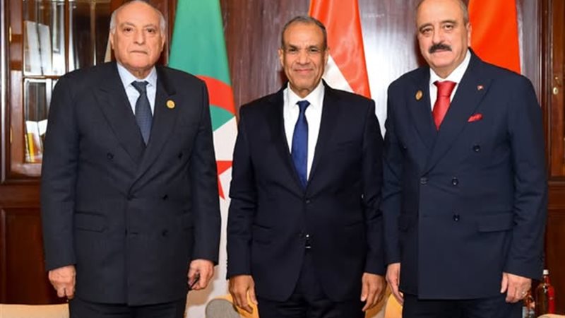 وزير الخارجية ونظيريه