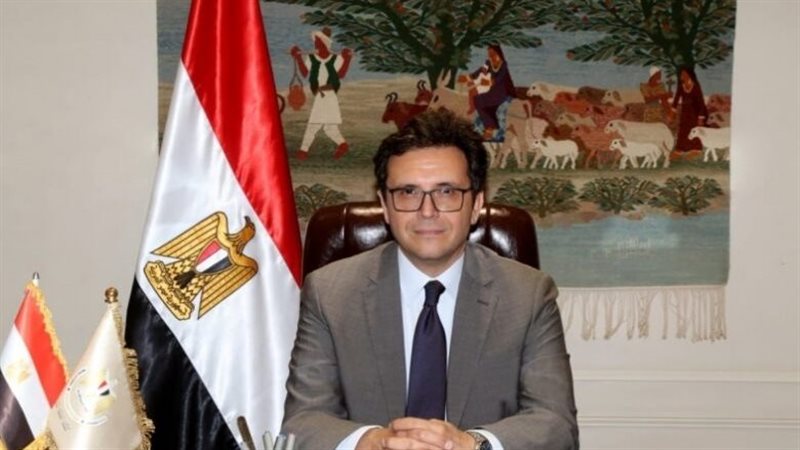 وزير الثقافة المصري