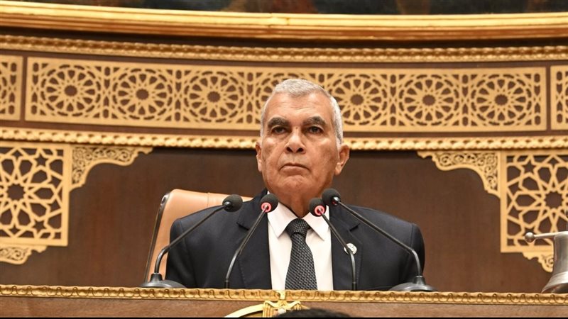 عصام الدين فريد