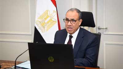 لقاء افتراضي لوزير الخارجية مع الجالية المصرية في كمبوديا وسنغافورا وتايلاند 
