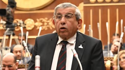 شريحة الأسرة.. برلماني يقدم مقترح للرقابة والتحكم في استخدام الأطفال للإنترنت