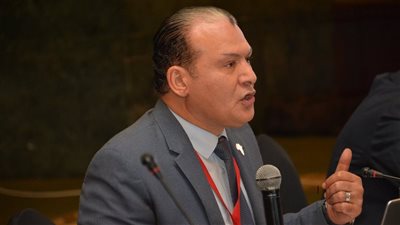 هشام الهلباوي: 2026 عام جني ثمار التنمية في الصعيد والقضاء على البطالة