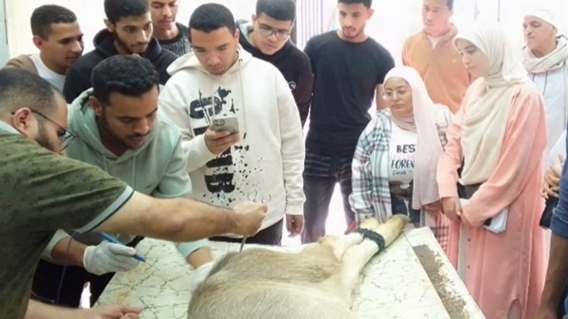 طلاب وأساتذة الطب