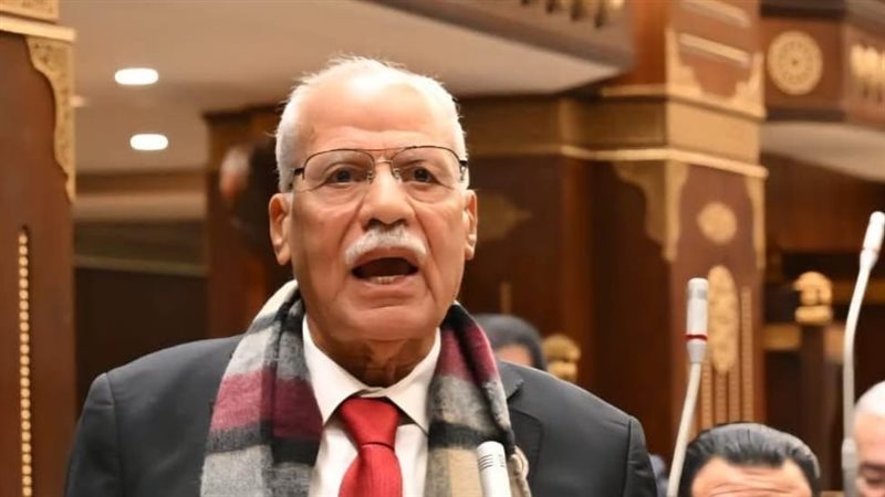 النائب محمد أبو العلا،