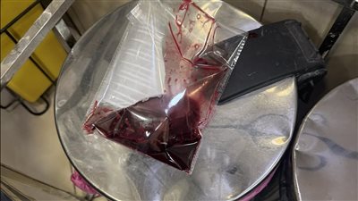 سامية الجمل تكشف تفاصيل الوعكة الصحية الخطيرة لنجلها وتشكر الداعمين بالدعاء