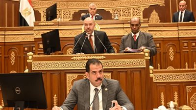 نهائياً.. مجلس الشيوخ يوافق على تعديلات قانون نقابة المهن الرياضية
