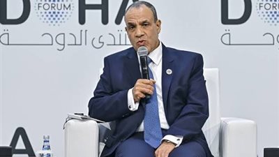 وزير الخارجية : نولي أهمية للمنطقة الصناعية الروسية في مصر 
