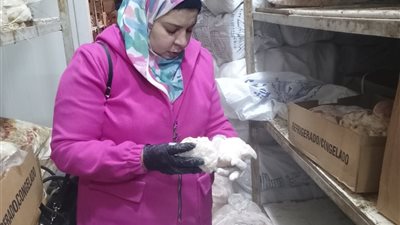 ضبط 366.5 كيلو جرام دهن ماشية فاسد بالسويس خلال حملة تفتيشية