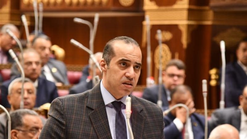 المستشار محمود فوزي
