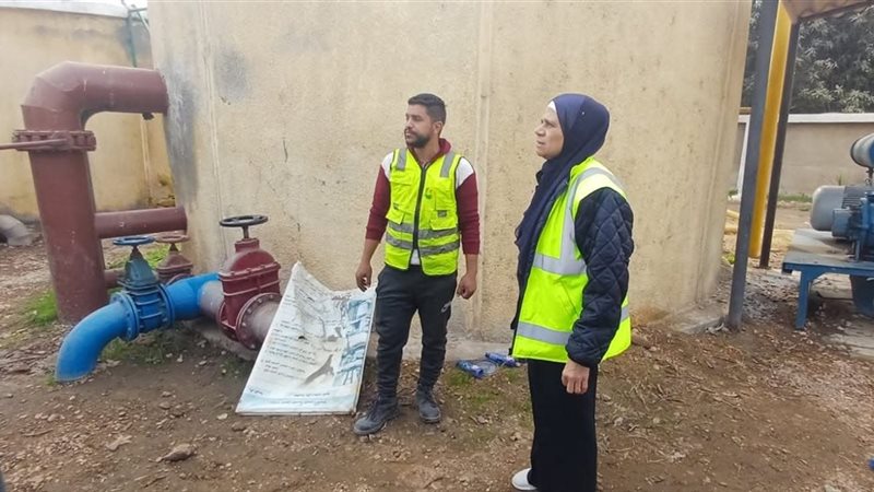 المهندسة دينا عمر