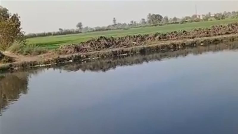 مصرف عمريط