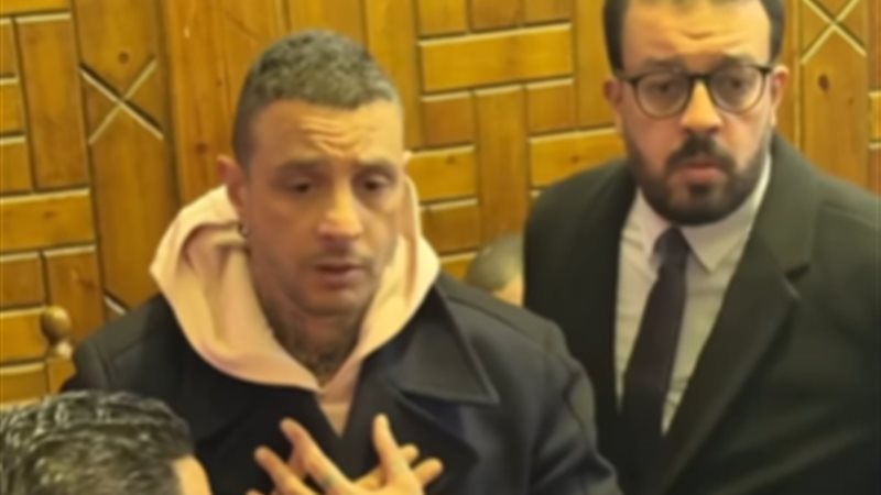 أحمد الفيشاوي 
