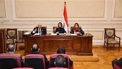 اللجنة الاقتصادية بمجلس الشيوخ تناقش تفعيل 