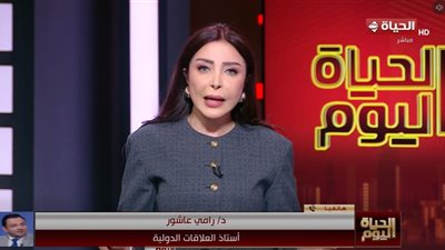 رامي عاشور: السياسة الخارجية المصرية قائمة على المثالية ودعم استقرار الدول
