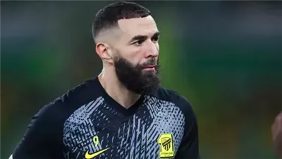 تبلغ قيمتها مليون يورو.. بنزيما يقتني لوحة تاريخية لـ
