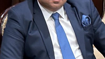 أحمد زكي: مصر البوابة الاقتصادية والسياسية لأفريقيا ومركزها اللوجستي المرتقب