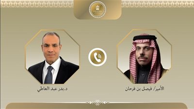 وزيرا خارجية مصر والسعودية يشددان على أهمية عودة حكم السلطة الفلسطينية لغزة
