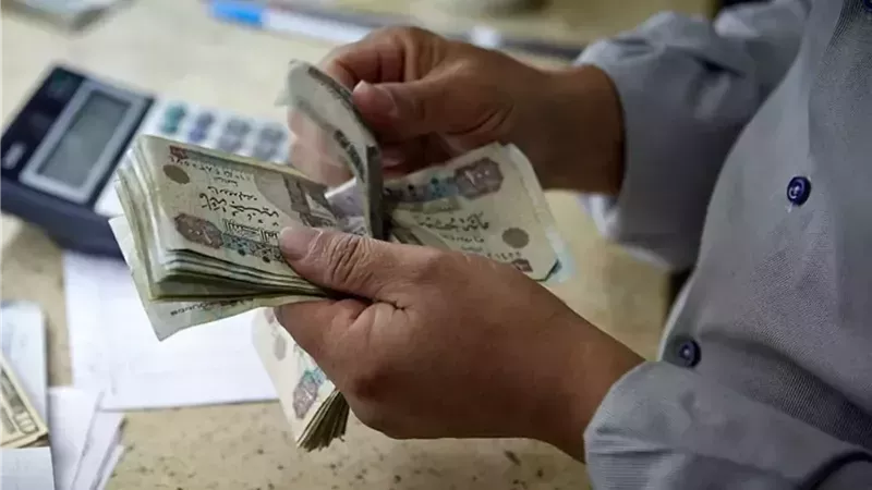 معاشات يناير 2026