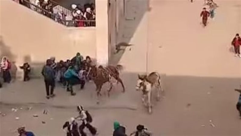 مشهد من الواقعة 