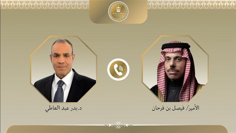 وزيرا خارجية مصر
