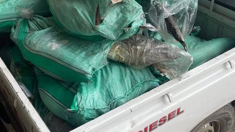 المضبوطات 