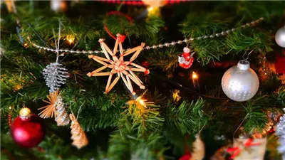 25/12/25.. تاريخ مميز وحدث لا يتكرر إلا مرة واحدة في القرن