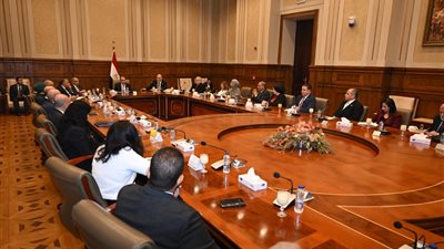 عبد العاطي: مصر تحمي هويتها الدينية والثقافية ضمن منظومة حقوق الإنسان
