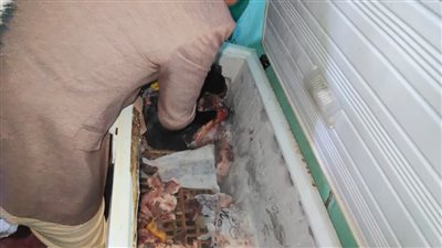 تموين المنوفية تضبط كميات كبيرة من اللحوم الفاسدة قبل بيعها بالأسواق