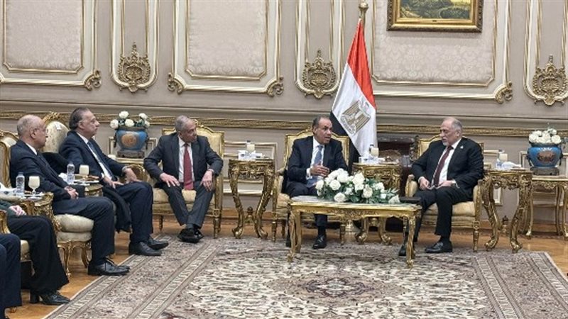 الدكتور بدر عبد العاطي،