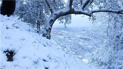 الجزائر تترقب تساقط الثلوجفي عدد من الولايات اليوم وغدا   