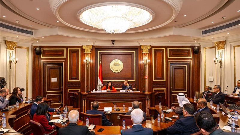 وزيرة التخطيط والتنمية
