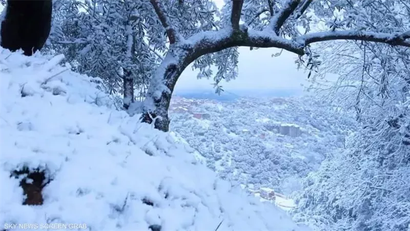 ثلوج الجزائر