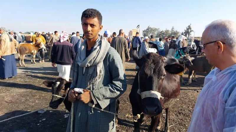 جانب من المتابعة