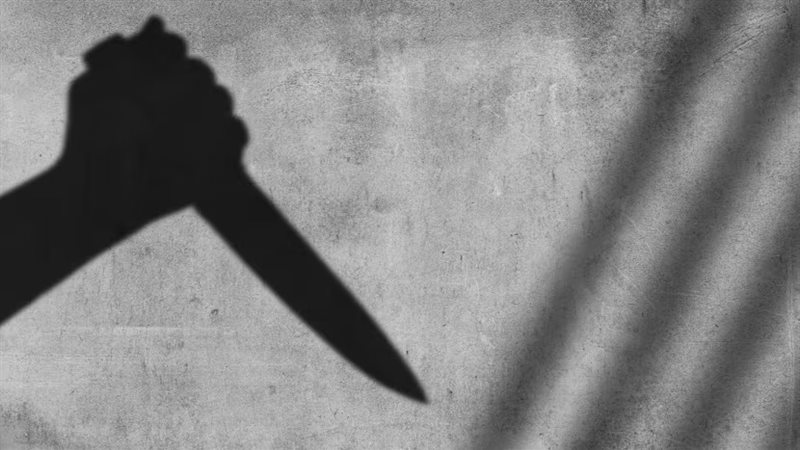 حادث طعم في اليابان