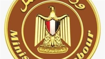 دعم مستمر للعمالة غير المنتظمة.. أبرز أنشطة وزارة العمل خلال أسبوع|فيديوجراف