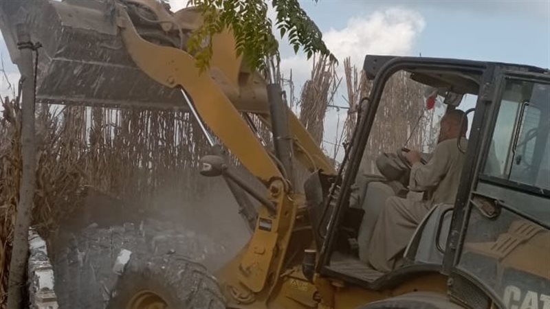 جانب من الإزالة 
