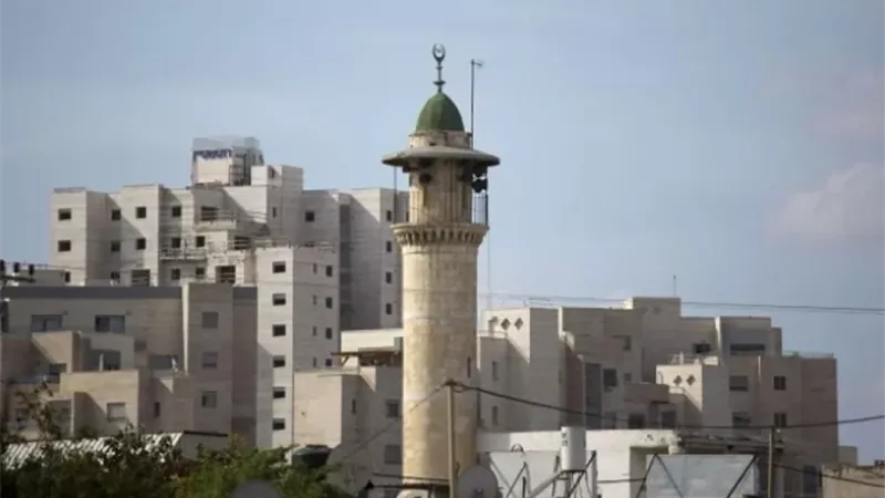 مساجد