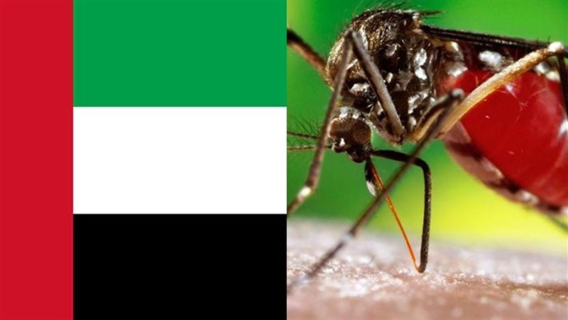 أرشيفية