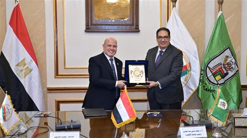 بروتوكول تعاون بين