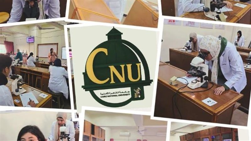 الامتحان 