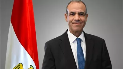 وزير الخارجية: مصر تواصل جهودها لحقن دماء السودانيين