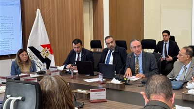 الاستراتيجية الوطنية لذوي الإعاقة تؤكد دمج حقيقي وتمكين لـ١١مليون معاق