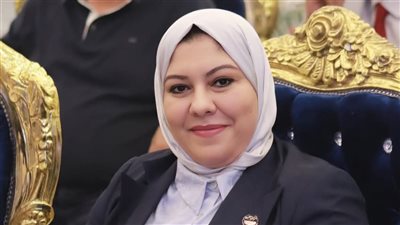 برلمانية: إلقاء القبض على عناصر من الإخوان تركيا يعكس استمرار نهجها ضد مصر