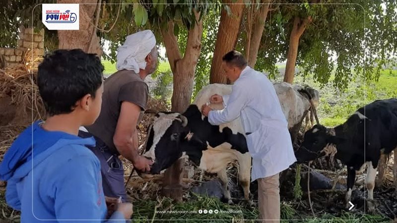 الطب البيطري بالمنيا