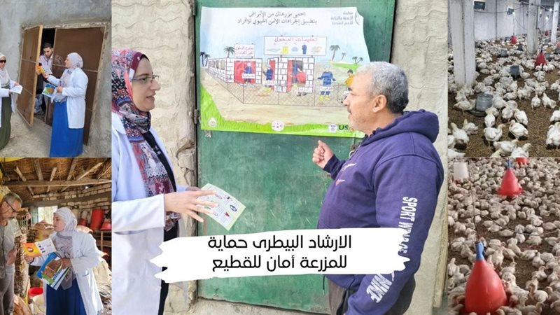 جانب من الحملات