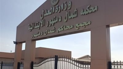 اليوم.. أولى جلسات محاكمة المتهم بالتعدي على ابنتي شقيقه في البحيرة