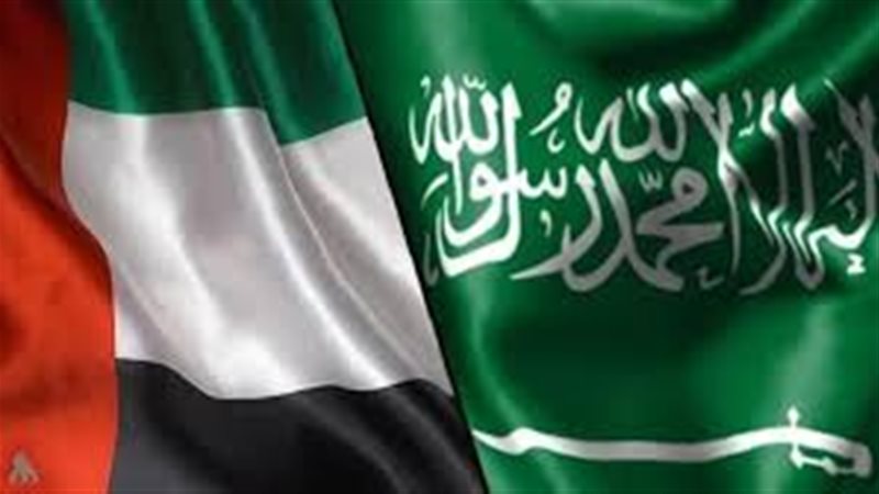 علما السعودية واليمن